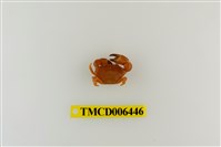 藏品(礁石假團扇蟹)的圖片